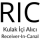 RIC